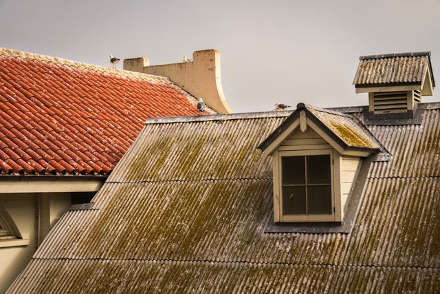 rusted metal roof