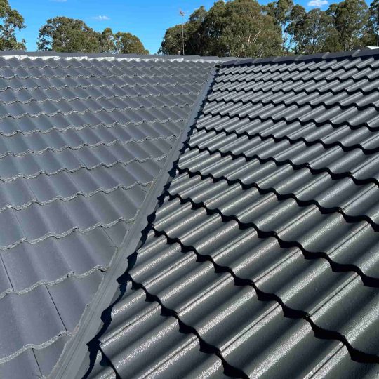 IMG_6600-copy-scaled_compressed